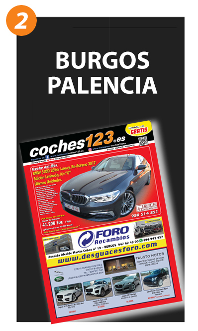 Coches123 Burgos/Palencia